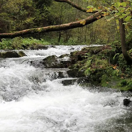 Zimnik, Ruska Bania *