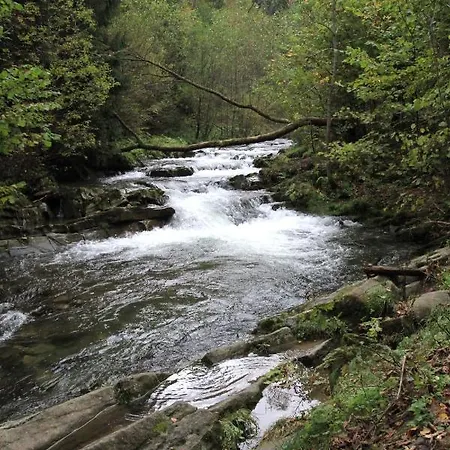 Сasa de vacaciones Zimnik, Ruska Bania Szczyrk