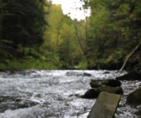 Zimnik, Ruska Bania Dom wakacyjny Szczyrk