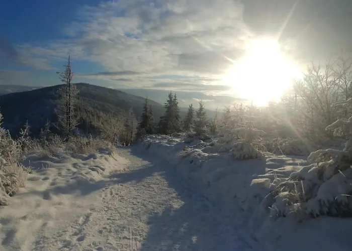 Zimnik, Ruska Bania 슈차이르크