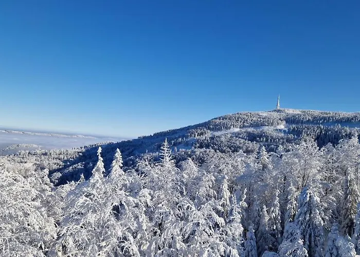 Dom wakacyjny Zimnik, Ruska Bania
